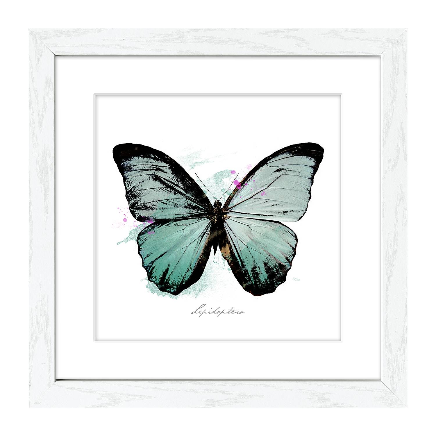 Bild Butterfly - WeiÃŸ / Blau, Pro Art