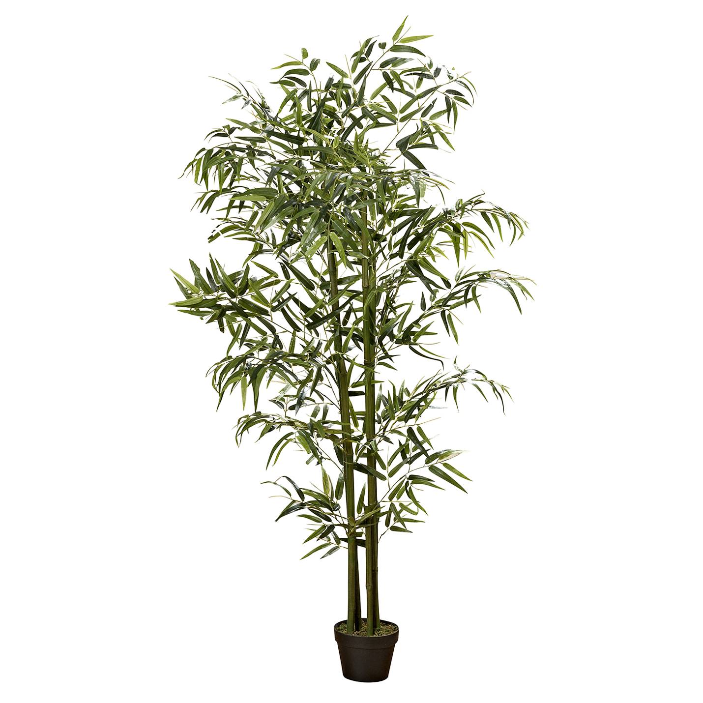 Kunstpflanze Bambus - Kunststoff - GrÃ¼n / Schwarz - 150, Ars Natura