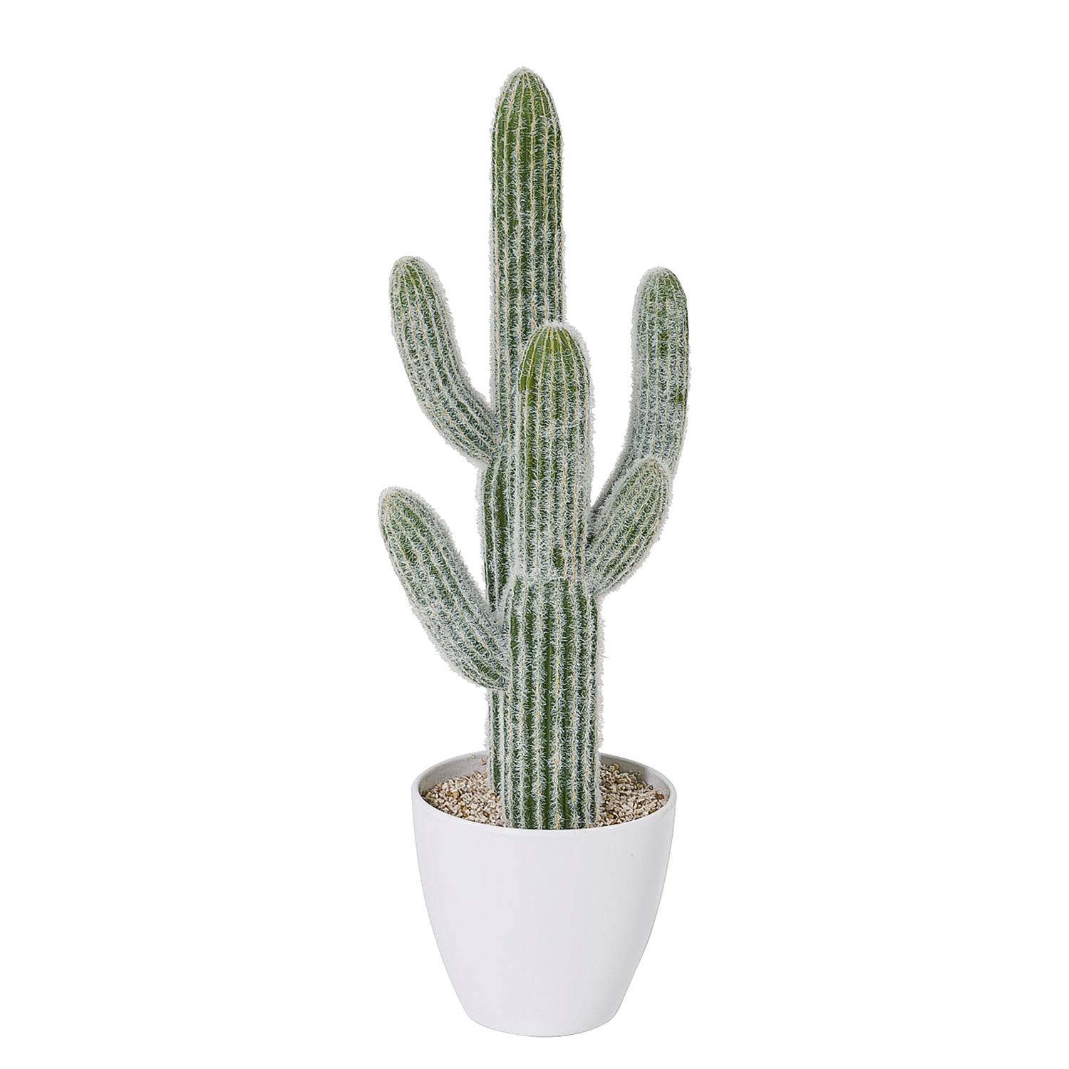 Kunstpflanze Saguaro - Kunststoff - GrÃ¼n, Pure Day
