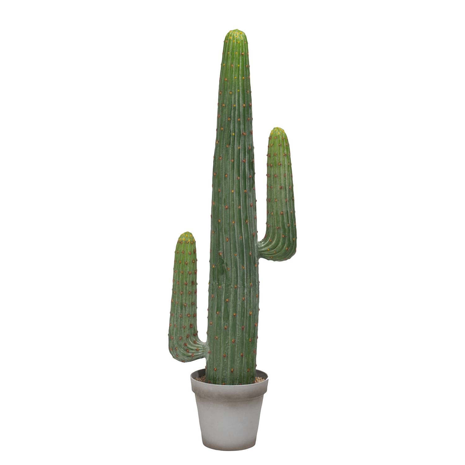 Kunstpflanze Kaktus - Kunststoff / Zement - GrÃ¼n, Pure Day