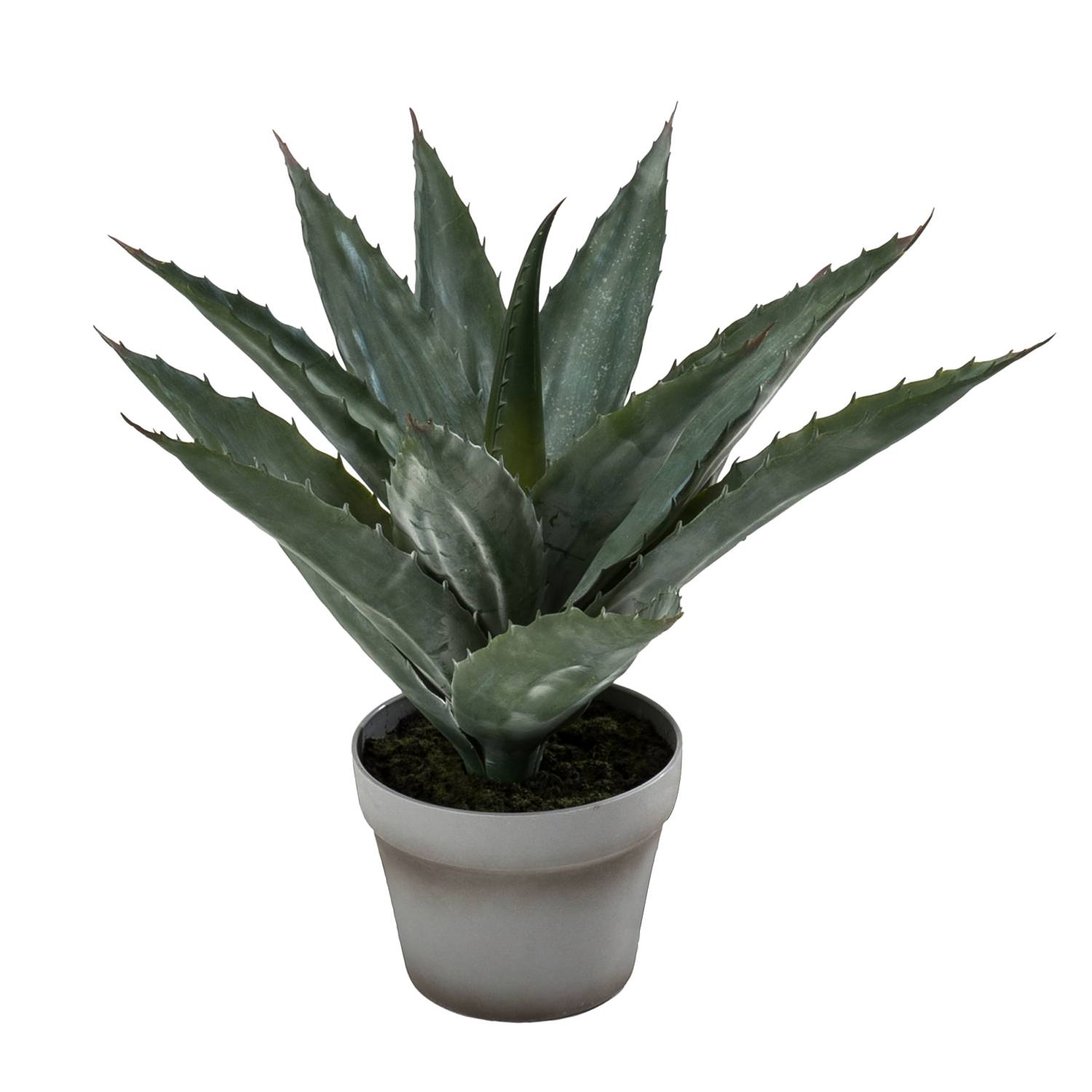 Kunstpflanze Aloe Vera - Kunststoff / Zement - GrÃ¼n, Pure Day